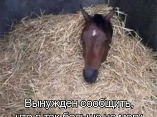 Продам двушку фото Москва