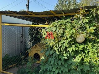 Продаю деревянный дом внутри города с коммуникациями фото 6 Ярославль