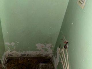 Продам офис фото 6 Димитровград