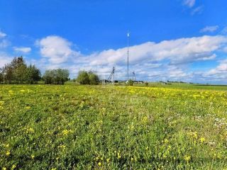 Продаю зем участок рядом асфальт под личное подсобное хозяйство фото Ломоносов