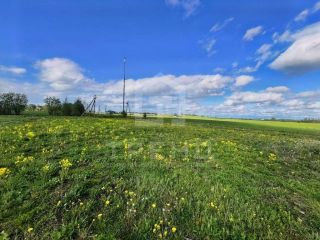 Продаю зем участок рядом асфальт под личное подсобное хозяйство фото 3 Ломоносов