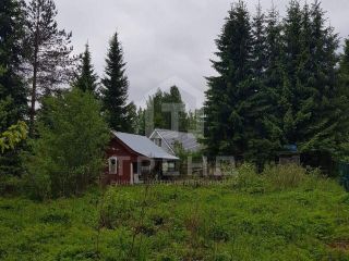 Продам зем участок подведено электричество в садовом некоммерческом товариществе фото Выборг