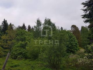 Продам зем участок подведено электричество в садовом некоммерческом товариществе фото 4 Выборг