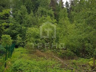 Продам зем участок подведено электричество в садовом некоммерческом товариществе фото 5 Выборг