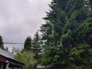 Продам зем участок подведено электричество в садовом некоммерческом товариществе фото 6 Выборг