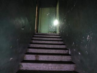 Сдам помещение под офис с коммуникациями свободного назначения фото 8 Санкт-Петербург
