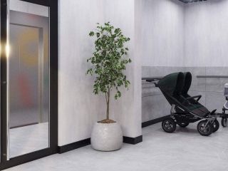 Продам помещение свободного назначения фото 8 Всеволожск