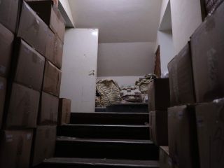 Сдается офис есть электричество с коммуникациями фото 9 Санкт-Петербург