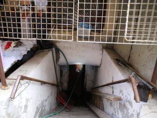 Сдам офис подключена канализация свободного назначения фото 3 Санкт-Петербург
