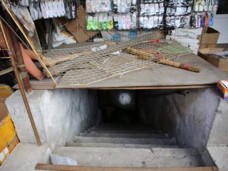 Сдаю офис свободного назначения есть электричество фото 5 Санкт-Петербург