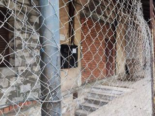 Сдам помещение под офис есть электричество с коммуникациями фото Санкт-Петербург