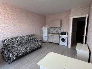Сдам студию фото 3 Санкт-Петербург
