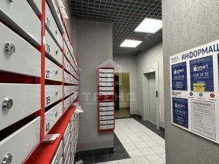 Сдам студию фото 26 Санкт-Петербург