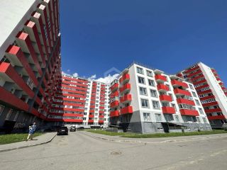 Сдам студию фото 28 Санкт-Петербург