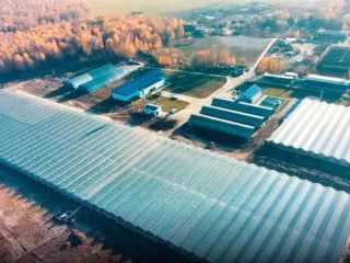 Продается помещение под производство асфальтная дорога фото Жуков