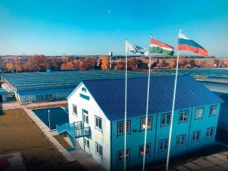 Продается помещение под производство рядом асфальт фото Жуков