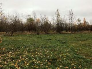 Продам участок земли удобный подъезд фото 3 Санкт-Петербург