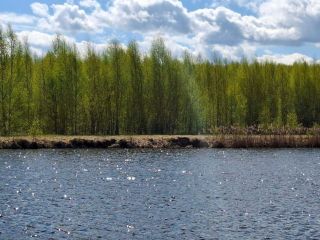 Продается нежилое помещение фото 26 Тверь