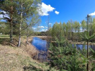 Продается нежилое помещение фото 27 Тверь