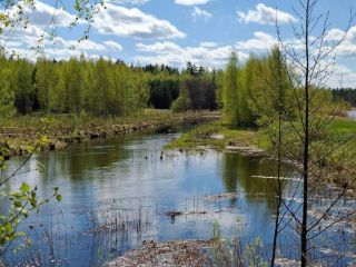 Продается нежилое помещение фото 28 Тверь