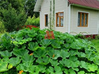 Продается кирпичный дом видеонаблюдение есть баня фото 2 Рыбинск