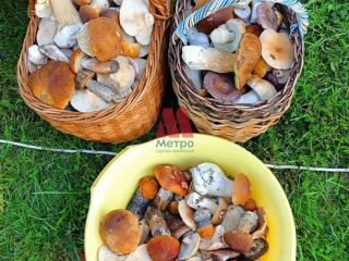 Продается кирпичный дом видеонаблюдение есть баня фото 23 Рыбинск