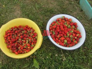 Продается кирпичный дом видеонаблюдение есть баня фото 28 Рыбинск