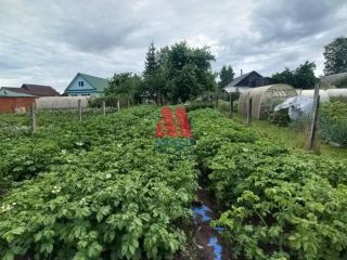 Продаю деревянный дом есть теплица фото 25 Рыбинск