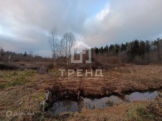 Продается зем участок есть документы фото 15 Гатчина