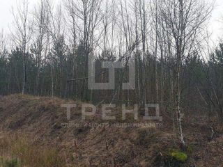 Продается участок земли в садовом некоммерческом товариществе фото 8 Сосновый Бор