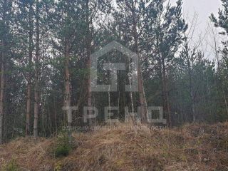 Продается участок земли в садовом некоммерческом товариществе фото 9 Сосновый Бор
