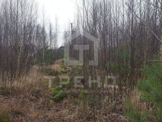 Продается участок земли в садовом некоммерческом товариществе фото 10 Сосновый Бор