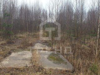 Продается участок земли в садовом некоммерческом товариществе фото 11 Сосновый Бор