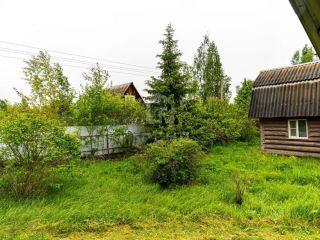 Продается деревянный дом имеется баня электричество подведено фото 37 Тосно