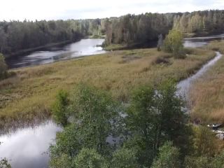 Продаю земельный участок асфальтная дорога фото Приозерск