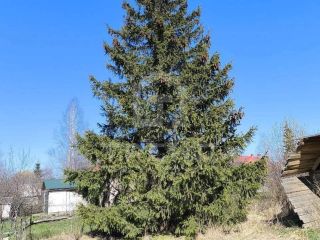 Продается деревянный дом имеется баня фото 14 Гатчина