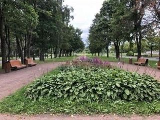 Продаю двушку документы готовы фото 9 Санкт-Петербург