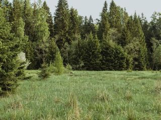 Продается участок земли документы на руках круглогодичный подъезд фото 7 Кингисепп