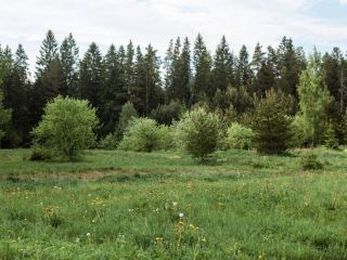 Продается участок земли документы на руках круглогодичный подъезд фото 8 Кингисепп