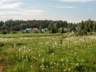 Продается земельный участок рассрочка фото 2 Кингисепп
