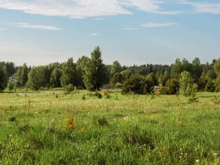 Продается земельный участок рассрочка фото 4 Кингисепп