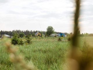 Продам участок земли документы на руках красивый фото 4 Кингисепп