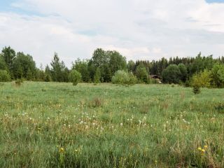 Продам участок земли документы на руках красивый фото 6 Кингисепп