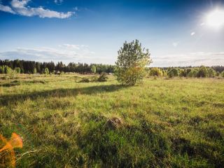 Продается земельный участок документы на руках асфальтная дорога фото 5 Кингисепп