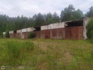 Продам помещение свободного назначения фото 9 Лодейное Поле