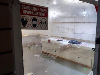 Сдается офис свободного назначения есть электричество фото 4 Санкт-Петербург