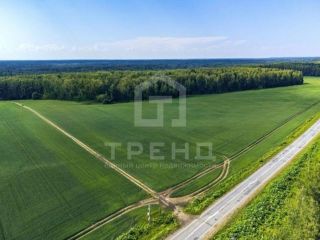 Продам участок земли рядом асфальт фото 2 Тосно