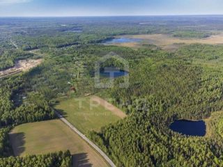 Продам участок земли рядом асфальт фото 3 Тосно
