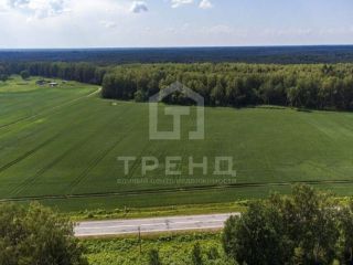 Продам участок земли рядом асфальт фото 4 Тосно