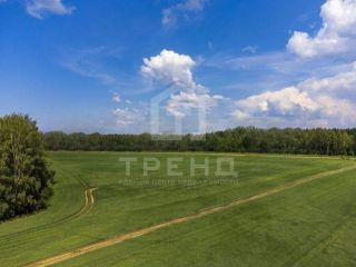 Продам участок земли рядом асфальт фото 5 Тосно